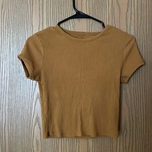 Arizona mustard cropped top